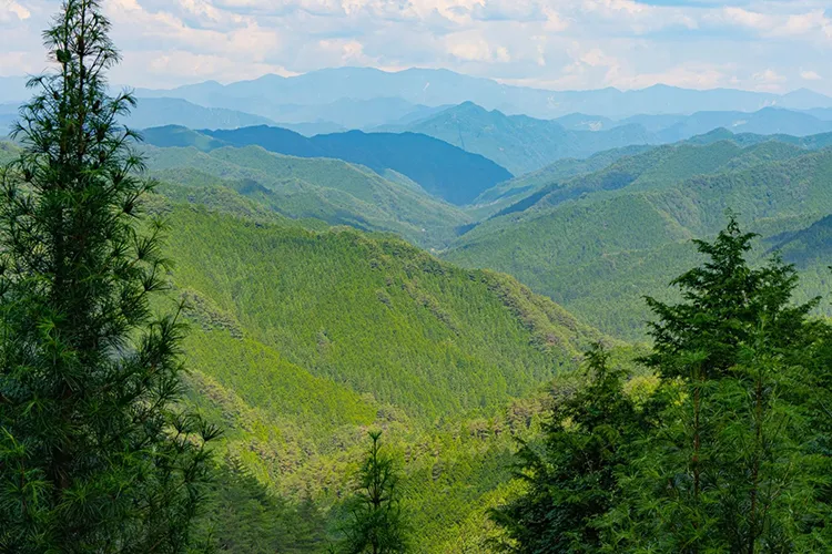 和歌山