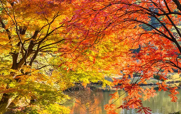 晴海、有明エリア