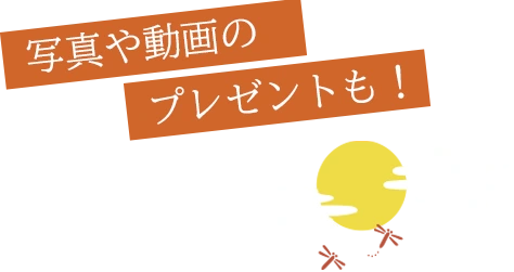 写真や動画のプレゼントも！