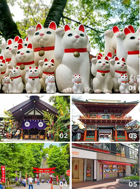 ツアーイメージ