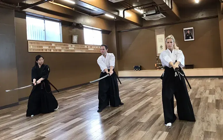 Learn sword techniques