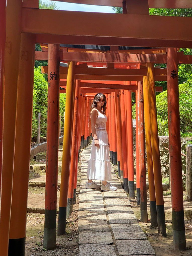 Famous red gates at Nezu shrine