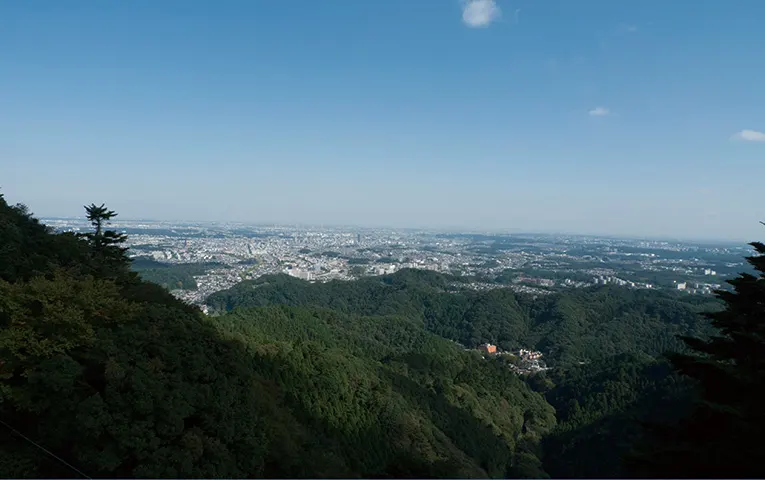 View from Mount Takao