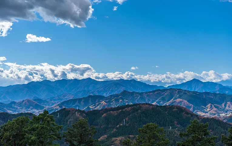 View from Mount Takao