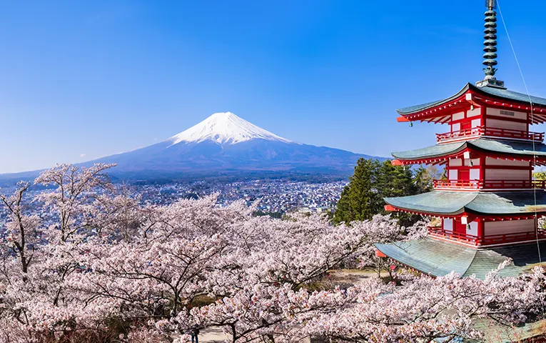 Mt.Fuji from The Niikurayama Asama Park