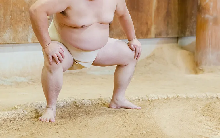 Sumo wrestler