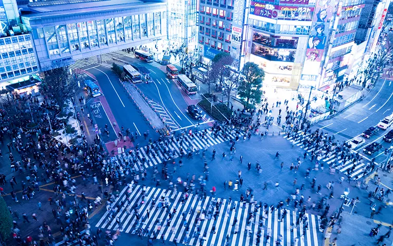 pick up at the Haneda airport