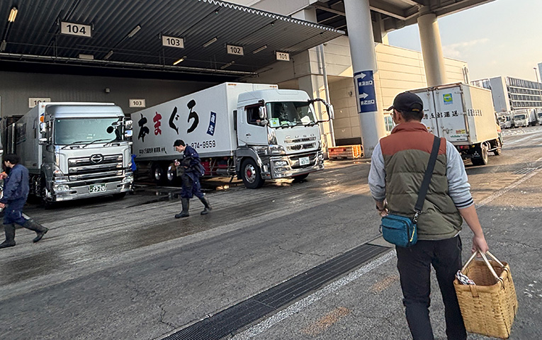 Visit Toyosu fishmarket with Expert