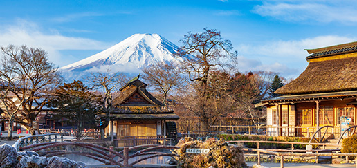 Mt. Fuji and Hakone Tour